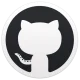 Qwen Code